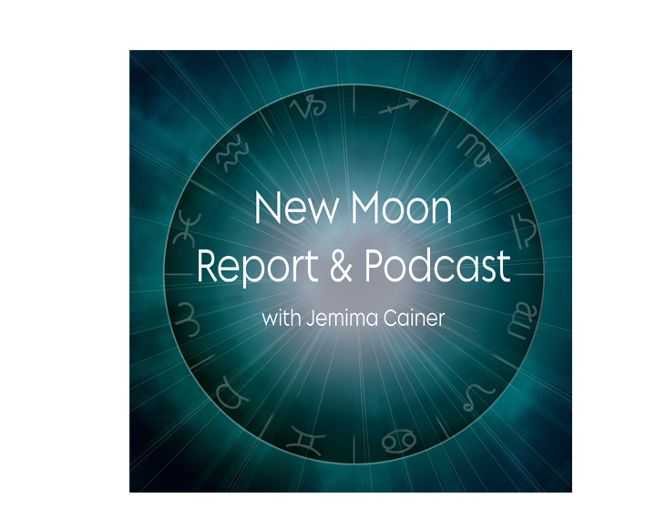 Moon Diary 2025, Moon Calendar, Lunar Phase Posters Astrocal