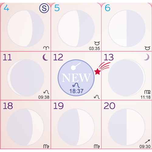 Lunar POCKET PLANNER 2026 - Image 5
