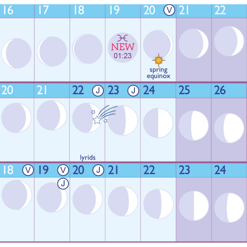 Lunar Wall Planner 2026 close up