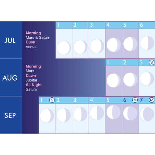 Lunar Wall Planner 2026 close up