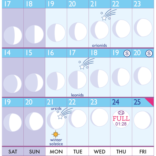 Lunar Wall Planner 2026 close up